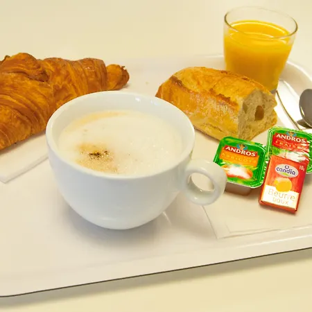 第戎北部泽尼斯酒店 第戎