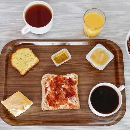 酒店 第戎北部泽尼斯酒店