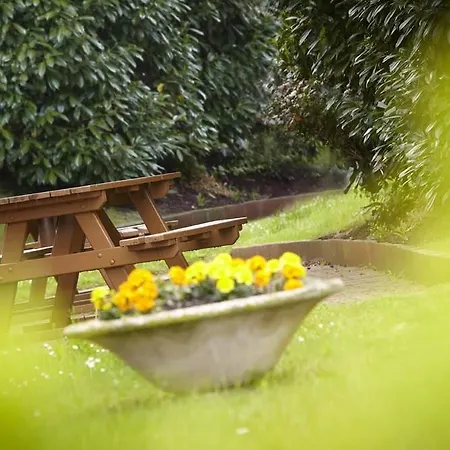 第戎北部泽尼斯酒店 酒店 *